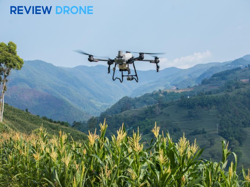 Chọn DJI Agras T25P nếu