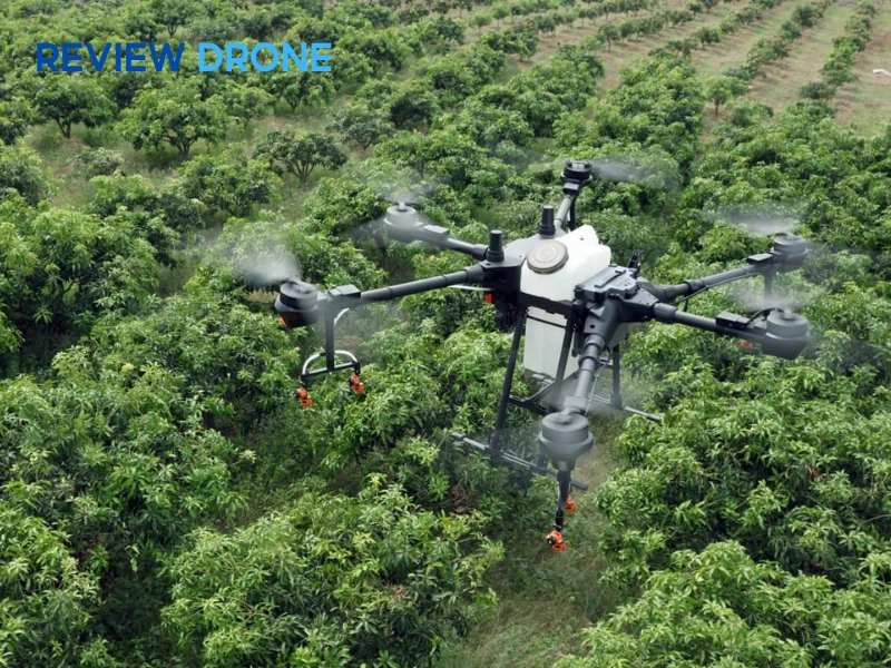 Tiêu chí lựa chọn đơn vị cung cấp dịch vụ thuê máy bay uy tín