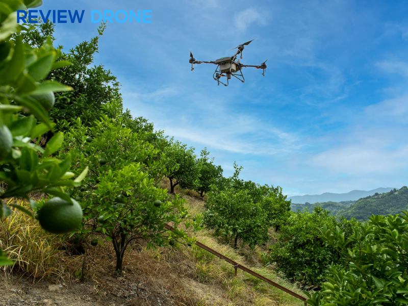 hướng dẫn vận hành dji agras t10
