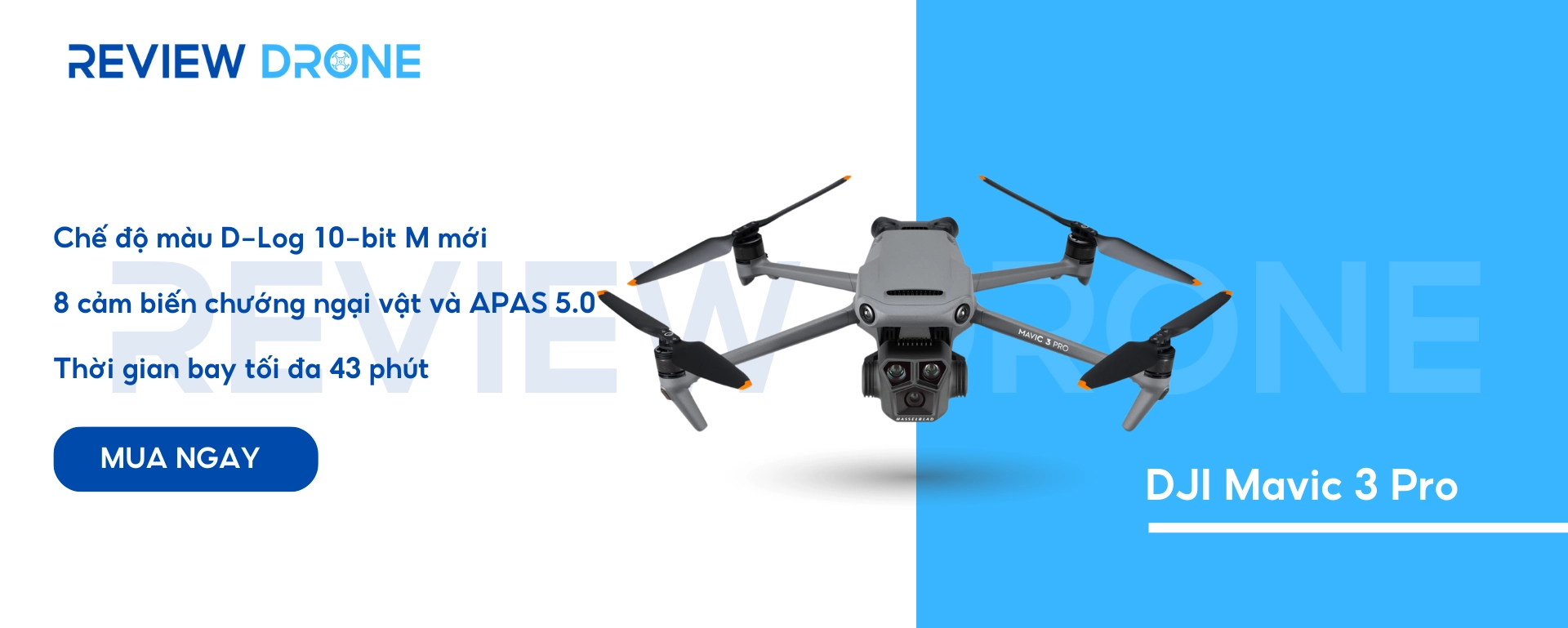 reviewdrone