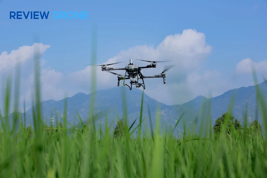 Đánh giá DJI Agras T70: Hiệu quả thực tế & Lợi nhuận
