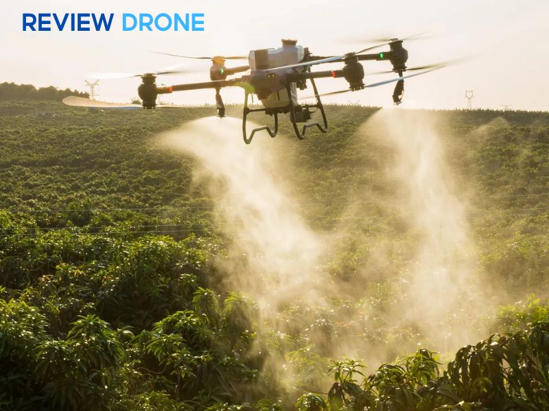 so sánh dji agras t50 và dji agras t25p