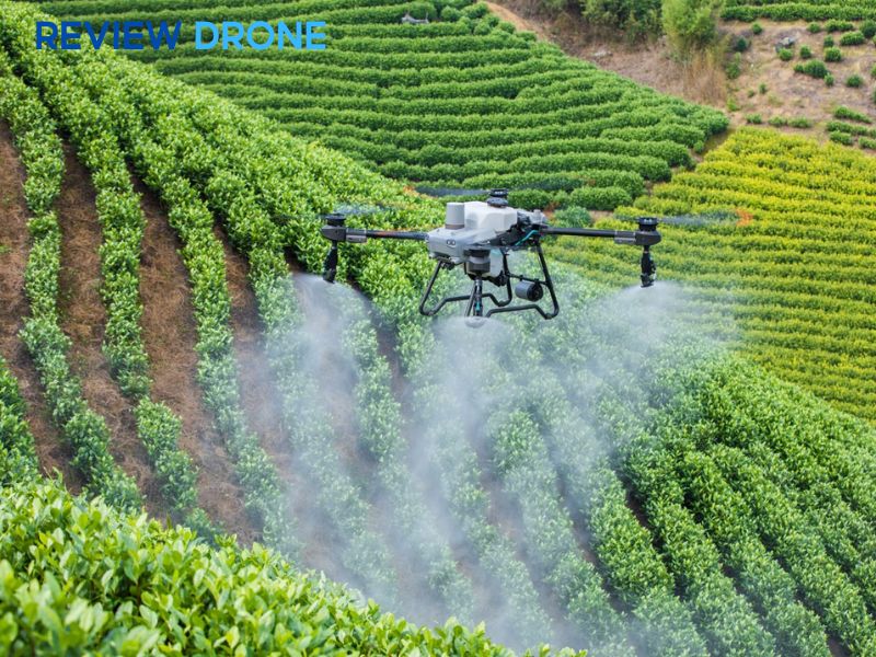 review dji agras T25P