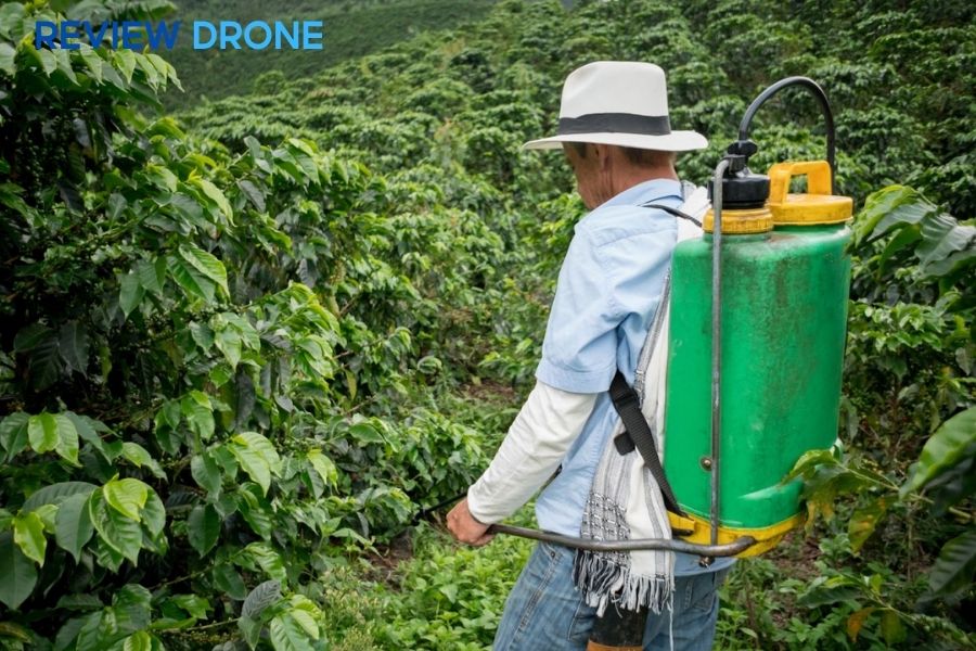 Cách phun thuốc cho cây cà phê đúng cách & tiết kiệm chi phí phun