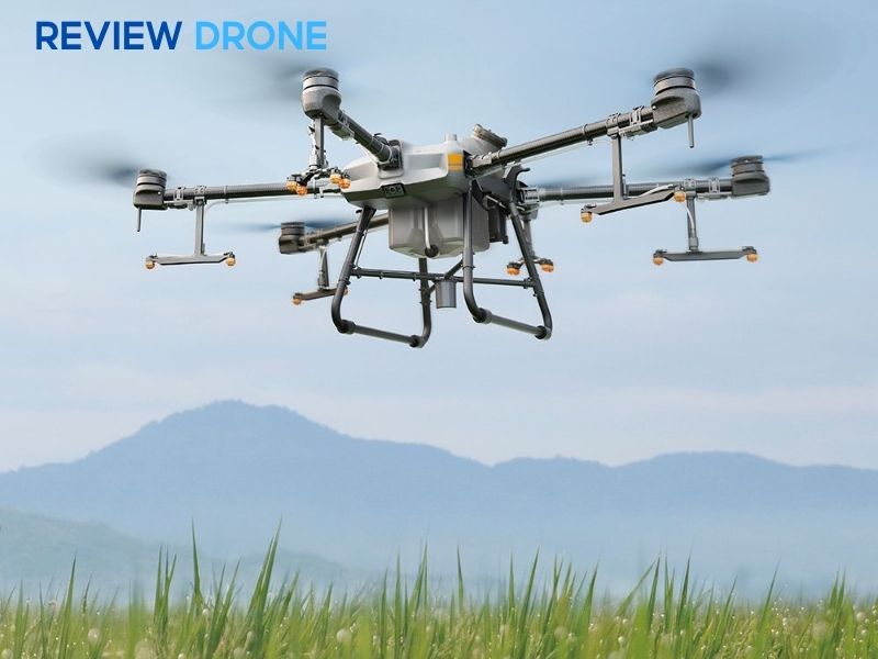 Ứng dụng máy bay nông nghiệp trong gieo sạ lúa mì