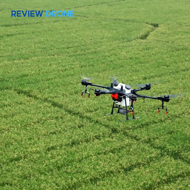 Hiệu suất hoạt động DJI T16