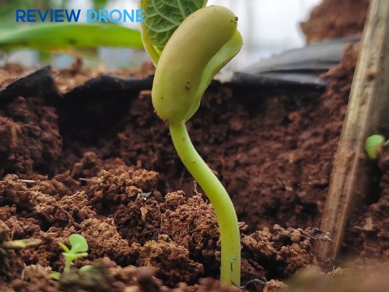 Lịch trình chăm sóc định kỳ